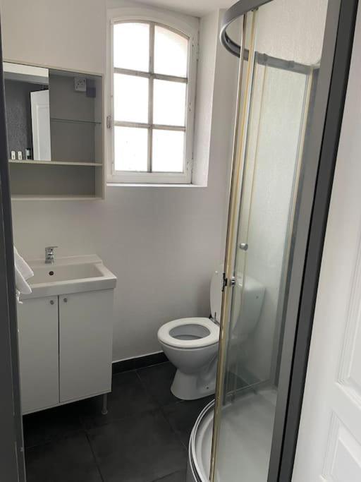 Studio2 Proche Fac Climatise 알비 외부 사진
